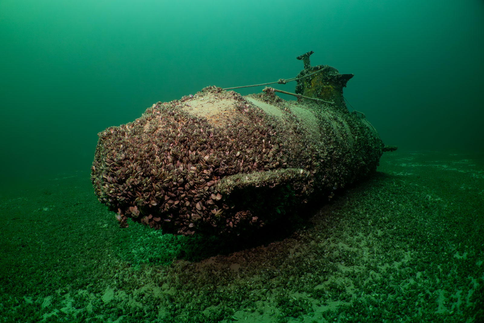 Rounded sunken object with attached structures on the bottom