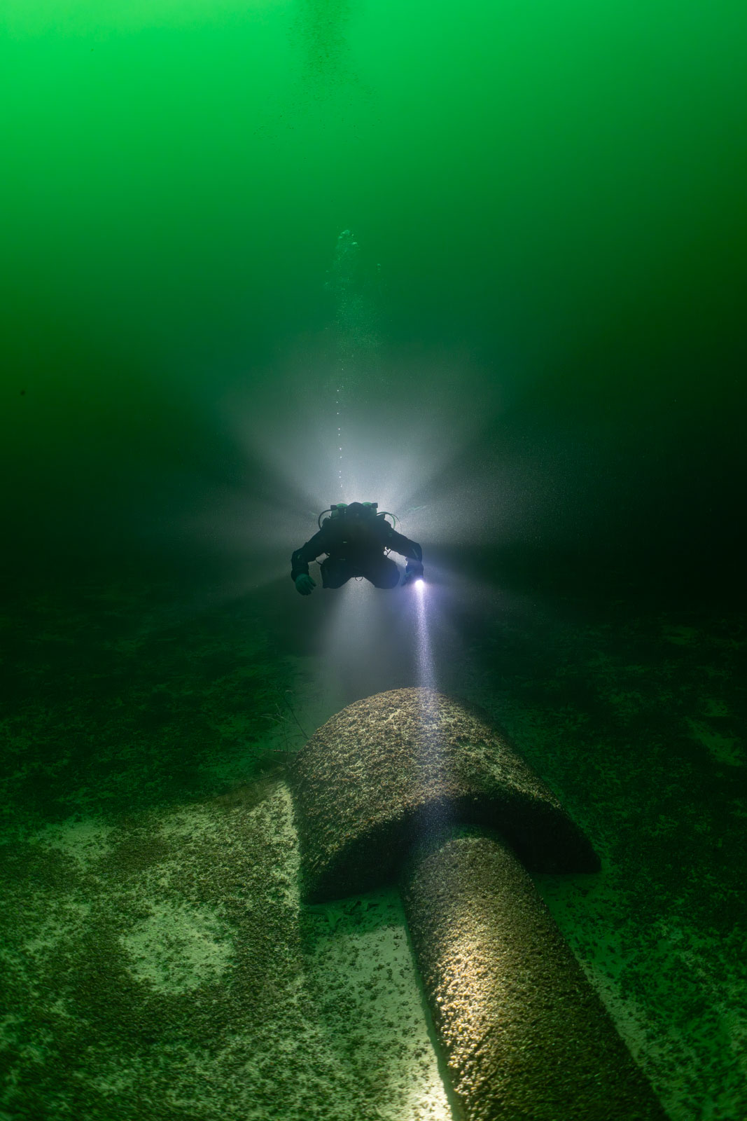 Diver with two light beams above a sunken tree trunk